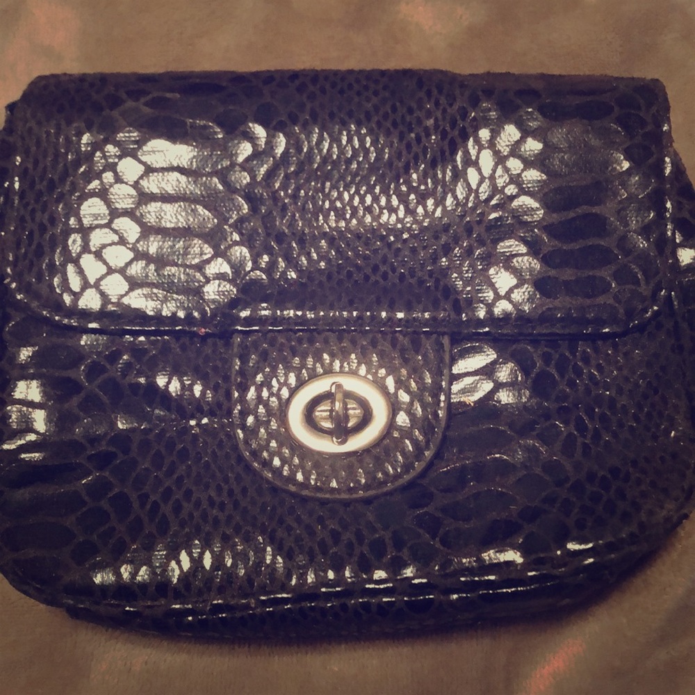 Limited Small Purse